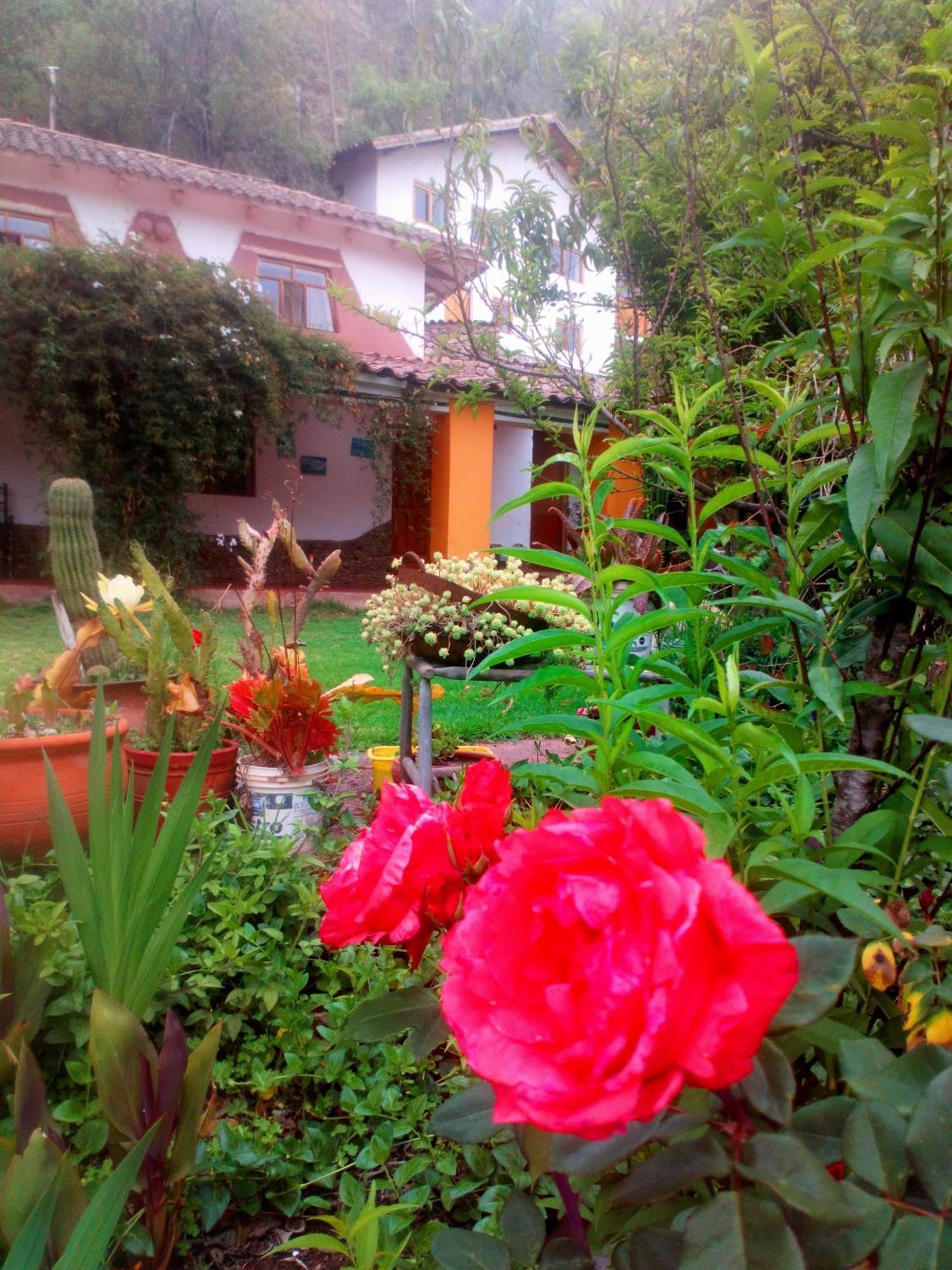 Ecolodge Ccatan Urubamba Exterior foto